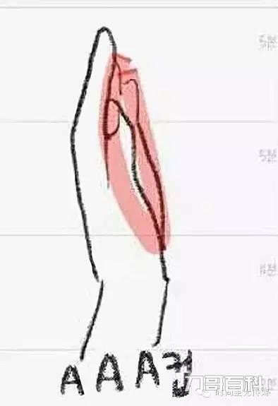 罩杯大小怎么算（怎么肉眼判断罩杯大小对比）