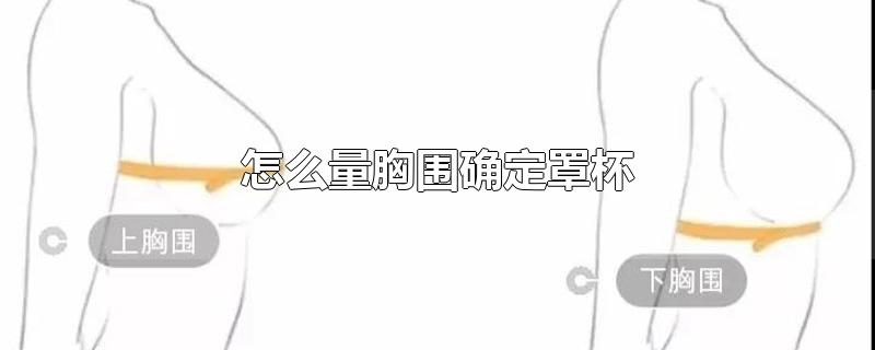 怎么量胸围确定罩杯图片 怎么量胸围确定罩杯